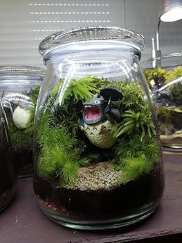 【受注生産】苔テラリウム 苔テラリウム 寺院 – ラプトルガーデン 【苔テラリウム】